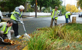 Green Street Stewards