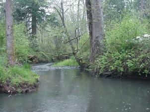 High water in Johnson Creek