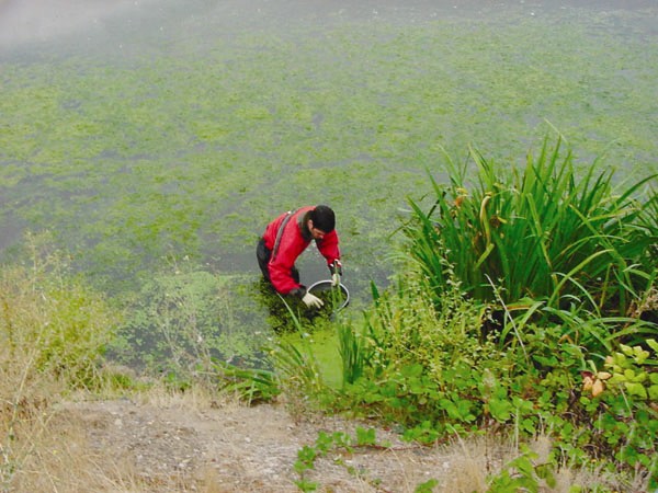 Photo: collecting water samples