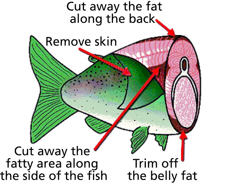 Healthy fish preparation diagram