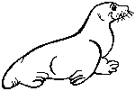 Sea lion