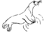 Seal