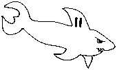 Park shark