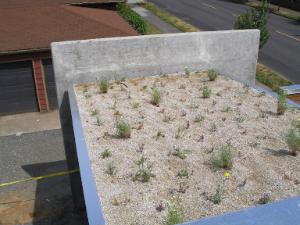 photo of K4 Condominiums ecoroof