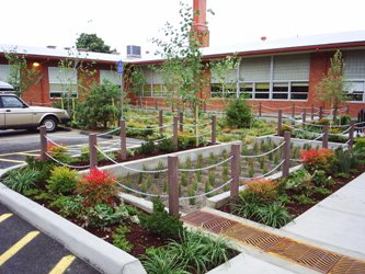 Mt Tabor Middle School Rain Garden