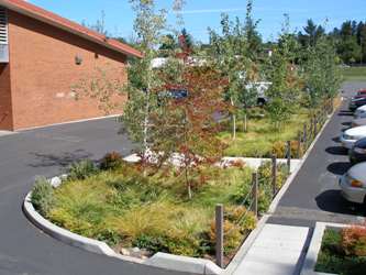 Mt Tabor Middle School parking lot swales
