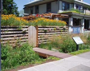 Hawthorne Hostel ecoroof, rainwater cistern, green wall, and swale