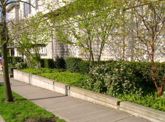 Buckman Terrace Apartments Stormwater Planters