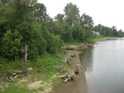 Stephens Creek Confluence Project