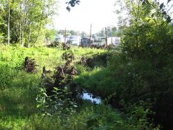Stephens Creek Confluence Project