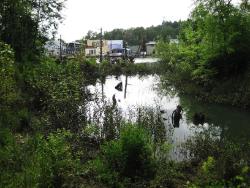 Stephens Creek Confluence Project