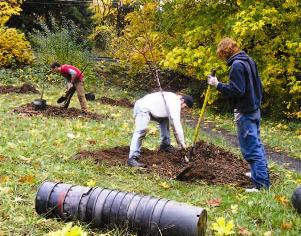 Revegetation