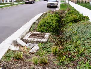 Green Streets