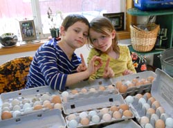 kids packaging eggs