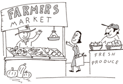 Farmers Markets