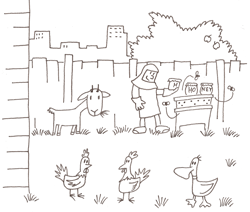 Animals and Bees