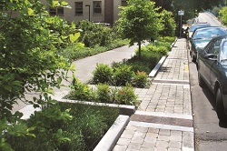 green street planter