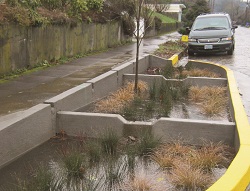 green street managing stormwater