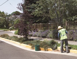 a green street steward