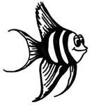 Angelfish