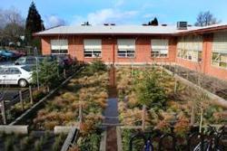 school rain garden