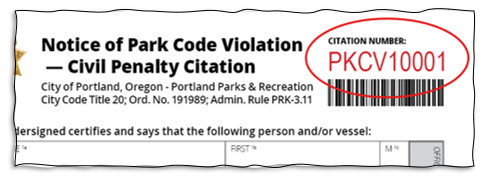 The citation number is located in the top right corner of the citation and starts with the letters P K C V followed by five digits.