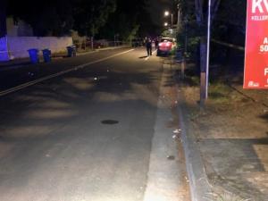 casings_in_street.jpeg