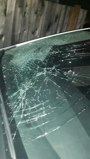 windshield.jpg