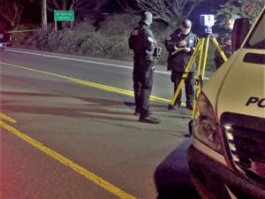 Fatal_Crash_160_Powell_2220716.jpg