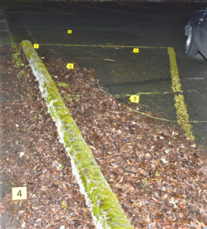 shootingcrimescene2228629.PNG