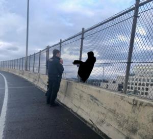 Crisis_on_Marquam_Bridge_244599.jpg