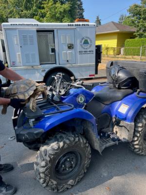 Bowser_with_a_PPB_officer_and_ATV.jpg