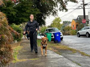 K9.jpg