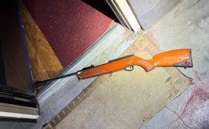 22_pellet_air_rifle_24253949.jpg