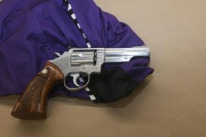 firearm.jpg