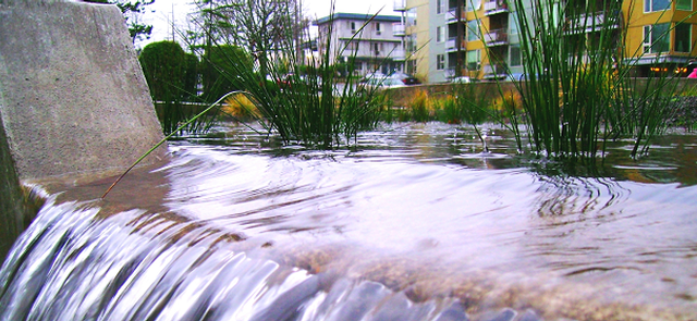 Stormwater Management | The City of Portland, Oregon